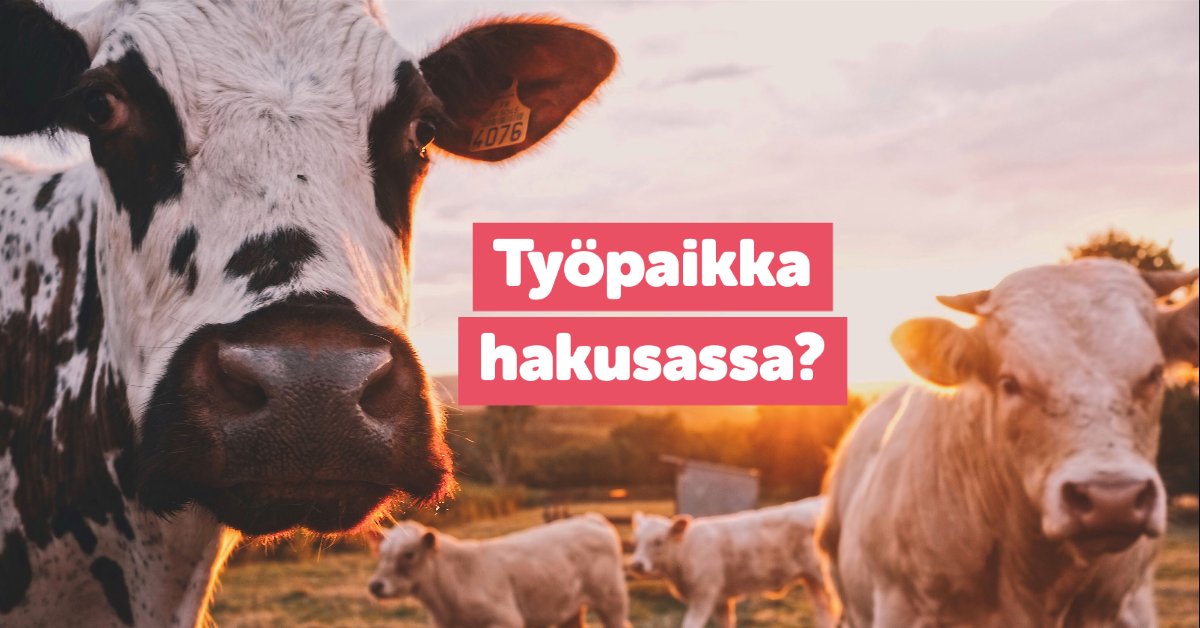 Tiitusapp's tweet image. Työpaikka hakusassa? Tiitus on opiskelijoiden työnhakukanava numero yksi 🤖 Työnhaku taipuu sujuvasti sekä mobiilissa että netissä: tiitus.fi/opiskelijoille/ #työpaikatopiskelijoille