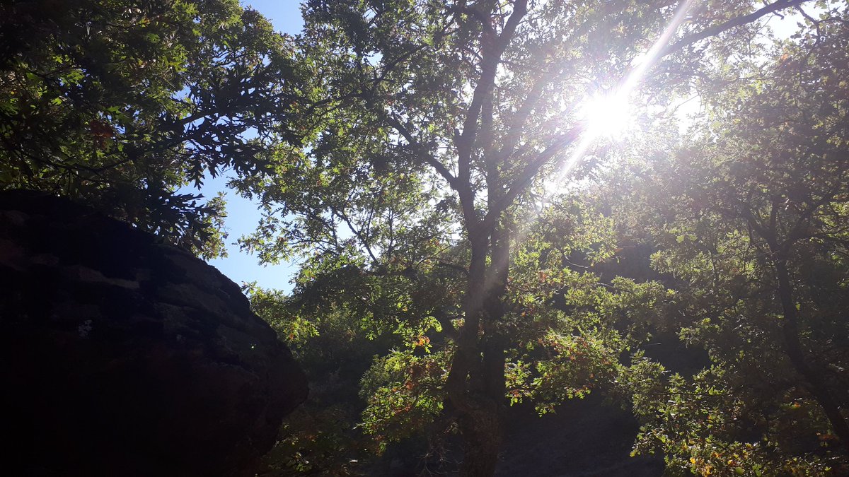 Şuan burada olmam gerekiyo acilde değil 😷