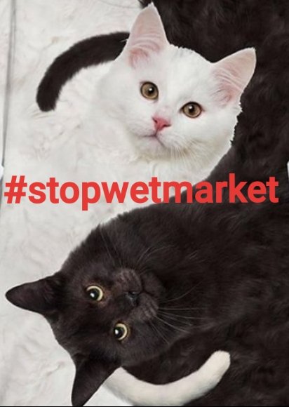 EnneElle2017's tweet photo. #stopwetmarket
#govegan
Sanzionate la #China!
#stopeatingdogs
#stopeatingcats
#stopyulinforever
#animalequality
#govegan
#loveanimals
#savetheplanet
#covid19 https://t.co/REVKfFL3j0