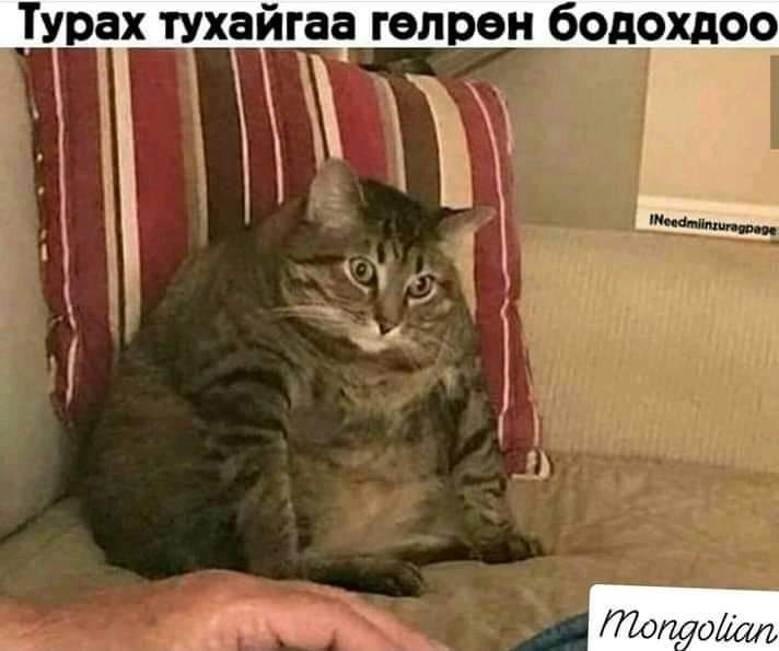 Г.Ням-Од tweet media