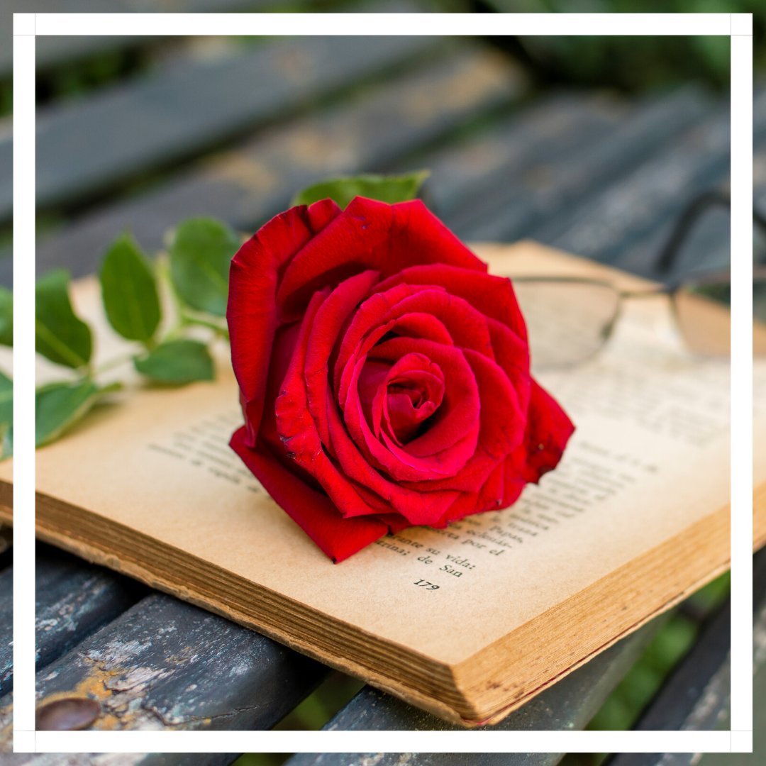 LFChannel's tweet photo. Sant Jordi es uno de los días más especiales del año para todo el equipo de LF Channel. Regalar libros y rosas es una tradición que no nos perdemos sea cuál sea la situación.
¡Deseamos feliz Sant Jordi a todo el mundo!
#SantJordi #FeliçSantjordi #FelizSantJordi #HappySantjordi https://t.co/cYuHqcZWPE