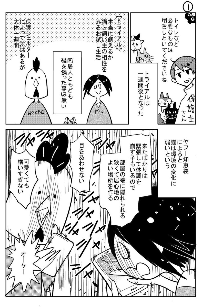 保護猫カフェにいた人懐っこい3本足の猫が家猫になるまで ツイッターで話題の漫画まとめ