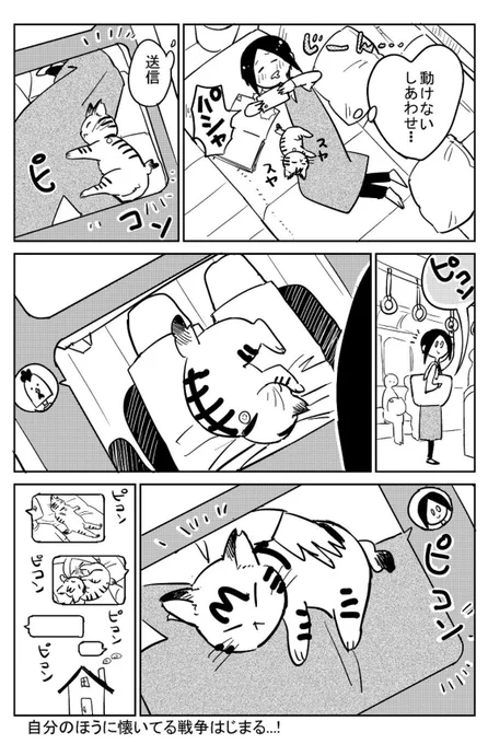 3本足の猫がうちの子になるまで⑧ 