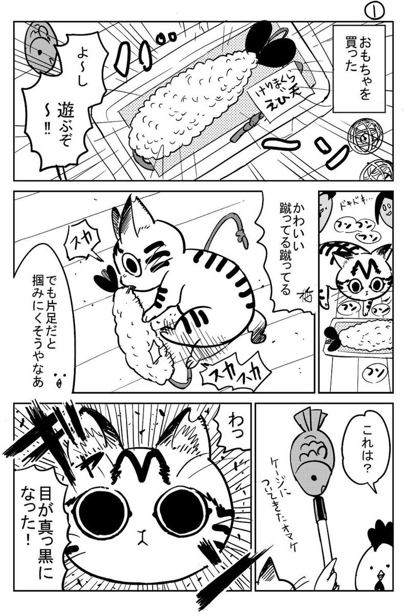 3本足の猫がうちの子になるまで⑥ 