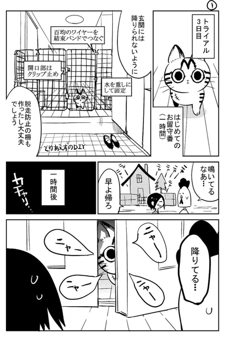 3本足の猫がうちの子になるまで⑦ 