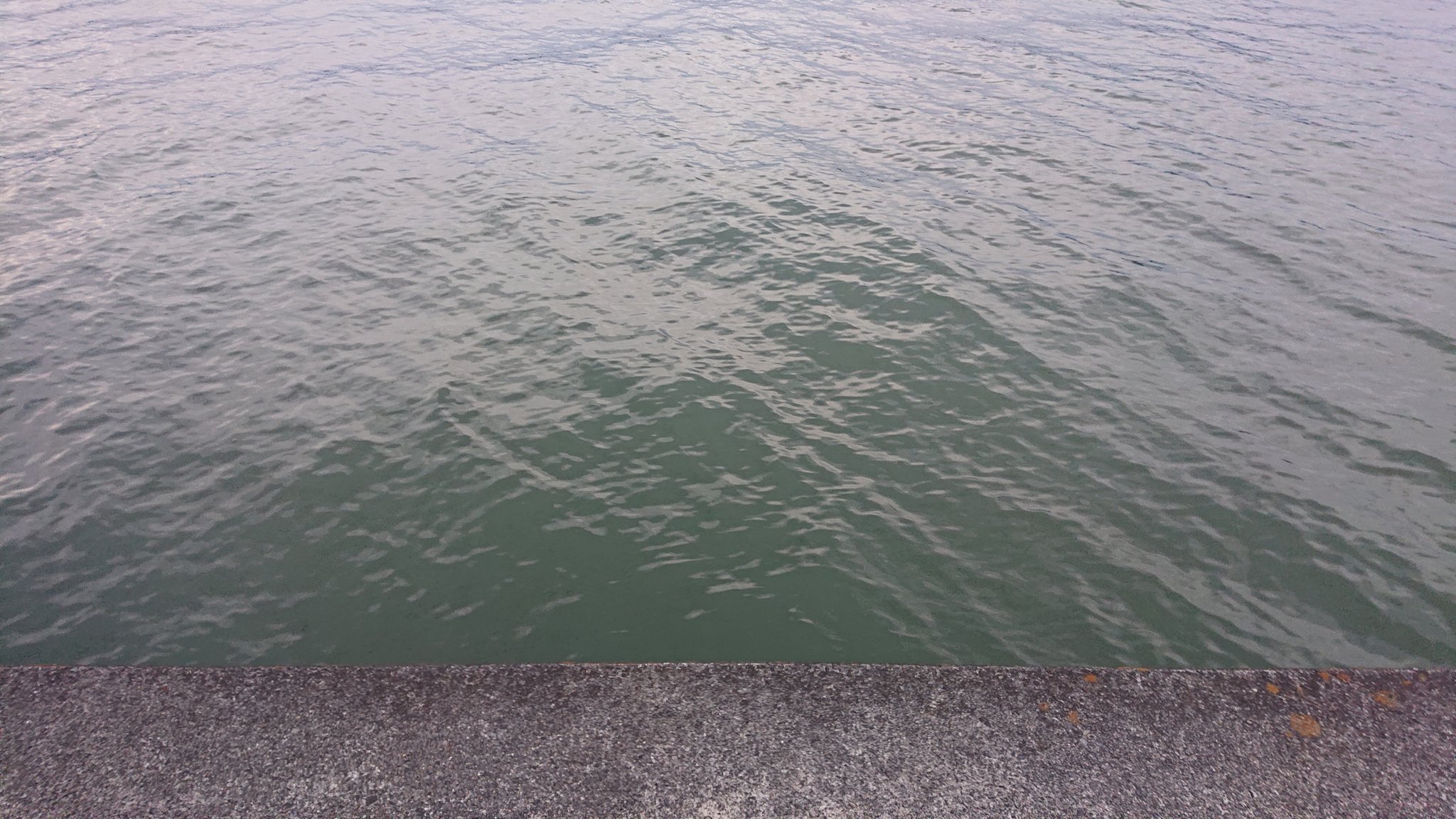 とり V ストローム250 やっぱり琵琶湖は汚い