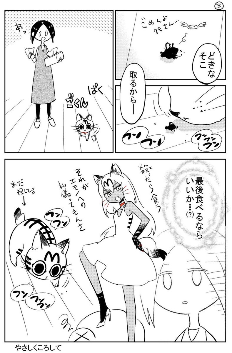 3本足の猫がうちの子になるまで⑨ 