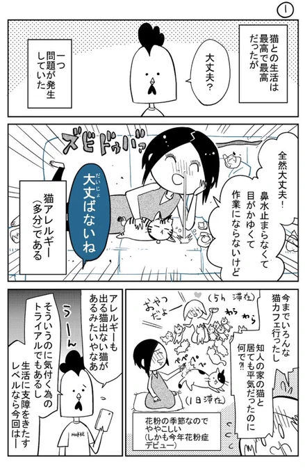 3本足の猫がうちの子になるまで⑩ 
