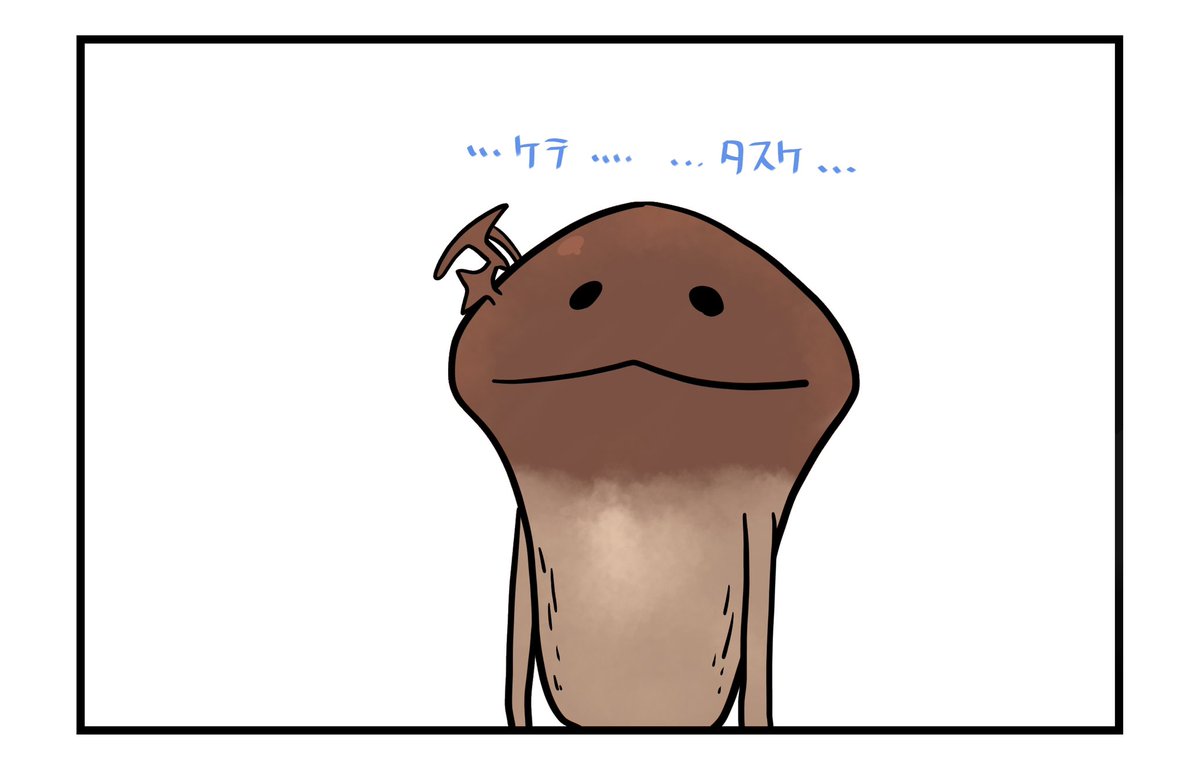 菌床……? 