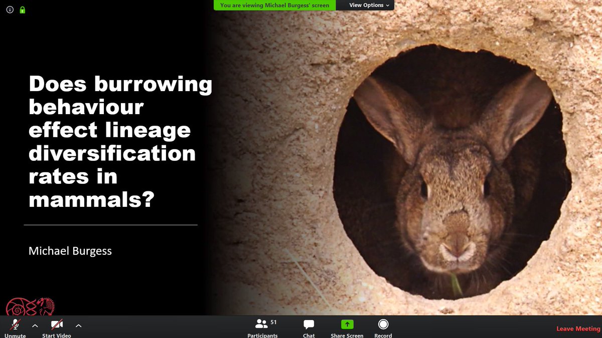 BristolPalaeo's tweet image. Today was the first batch of virtual MSc talks for this year's MSc students to talk about their projects. We've got a wide variety of projects this year, and here are just a few examples from this morning's talks.