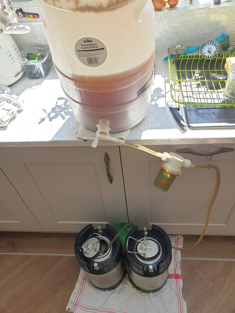 mr_bridger's tweet photo. Productive day, beer kegged, and lots of bottles filled with wine. ππ·π» #Homebrew #PanicBrewing #CDWAB https://t.co/dUJjwj4Xxj