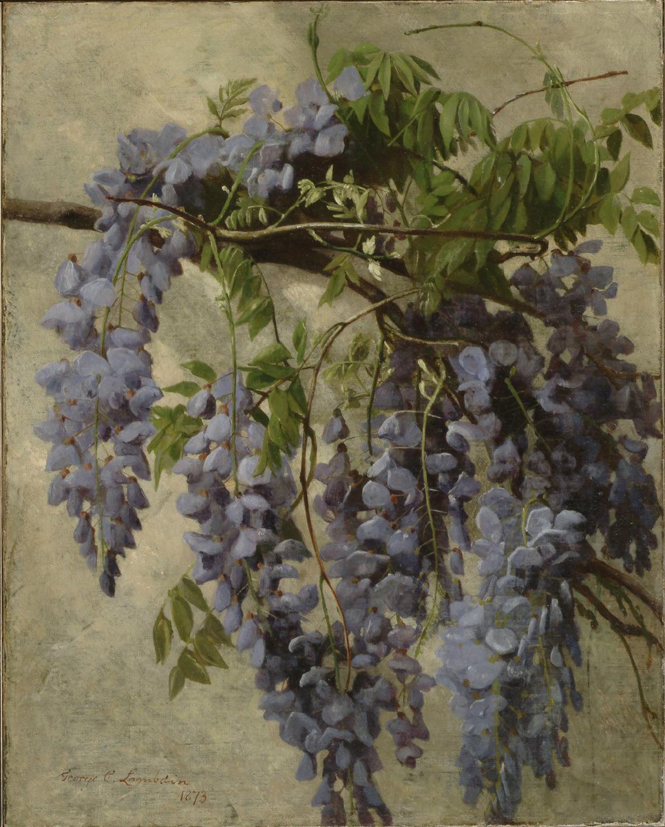 George Cochran Lambdin, Wisteria on a Stucco Wall, 1873