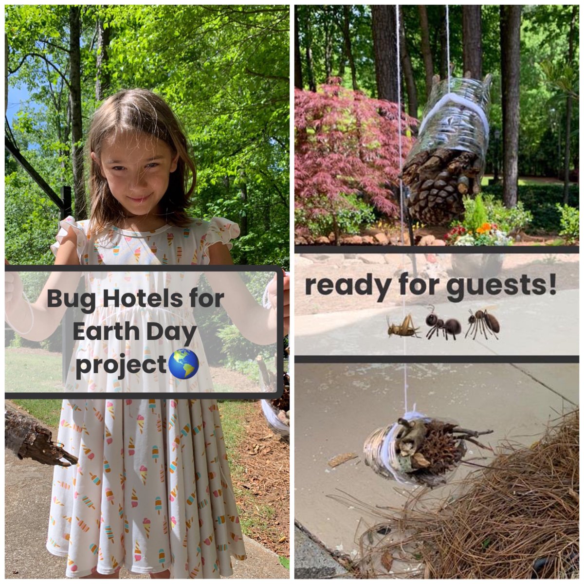 Stacy Pitts (@vaughanstemlab) on Twitter photo Alaina made this comfy bug hotel for Earth Day. Nice job, Alaina! ā¦<a href="/VaughanRockets/">Vaughan Elementary</a>ā© Alaina made this comfy bug hotel for Earth Day. Nice job, Alaina! ā¦<a href="/VaughanRockets/">Vaughan Elementary</a>ā©