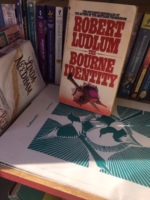 ArnoldWaxwing's tweet photo. Tired of reading books on a screen? Finding the EPL closure a real slobberknocker to the coconuts? Little Free Library in Strathearn has some great titles on offer. @StrathearnCL https://t.co/UJgT6Xw2uF