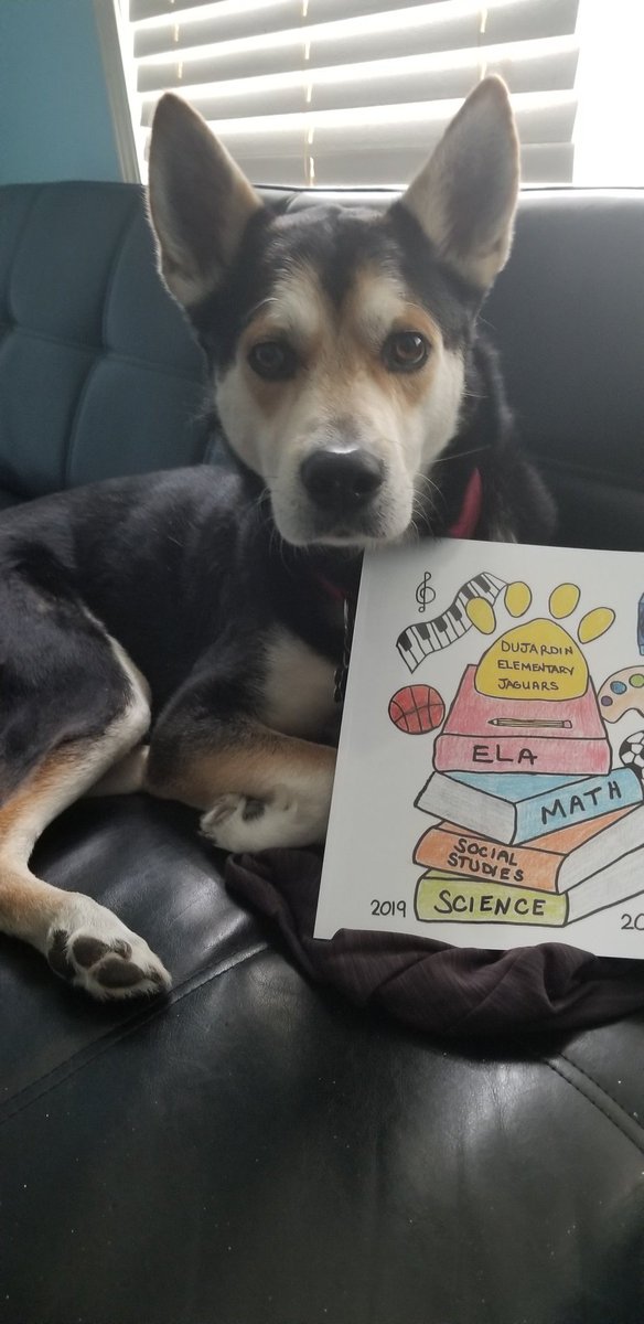 MrsDyer13's tweet photo. Reggie says that DuJardin Yearbook orders have been submitted and will arrive in May. We got a sneak peak at them, and they look awesome! #ilbsd13 @D13Jaguars #tmsgdj https://t.co/ftAt8AtPtu