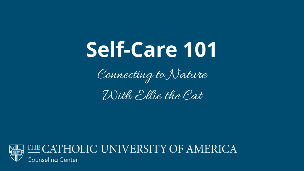 CUACounseling's tweet photo. Need some self-care tips? Ellie the Cat is here to help you out with a new Self-Care 101 video! Check it out here: https://t.co/iNAGIesnJp #catholicUcounseling #CatholicU #ThisIsCatholicU #CardinalCoping https://t.co/92z27BYqWQ