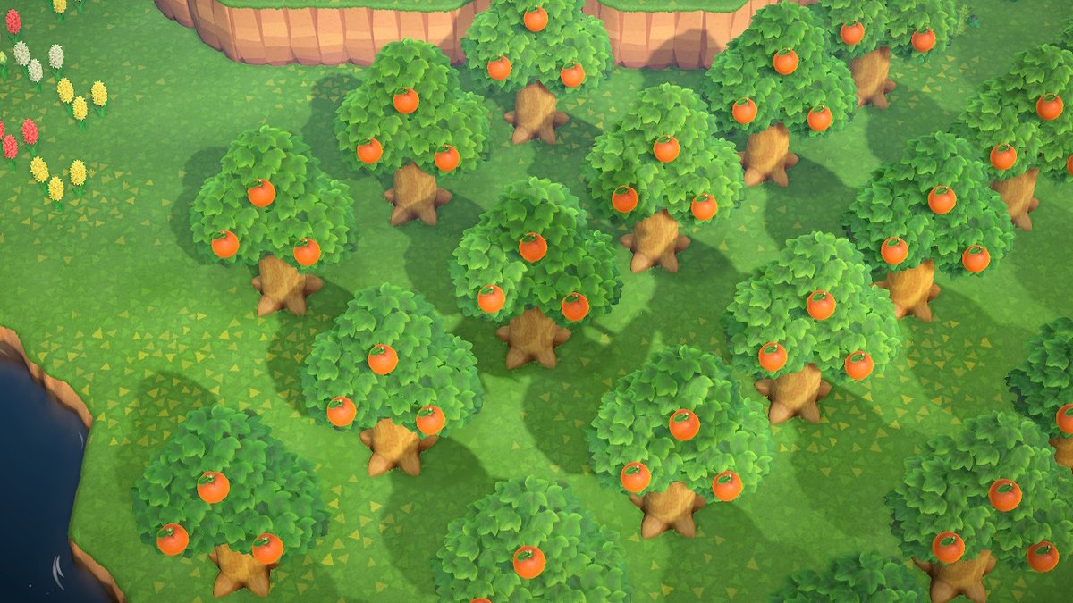 CandysWhite's tweet photo. #동물의숲 #AnimalCrossing #ACNH #NintendoSwitch https://t.co/nGAD3nKSpO