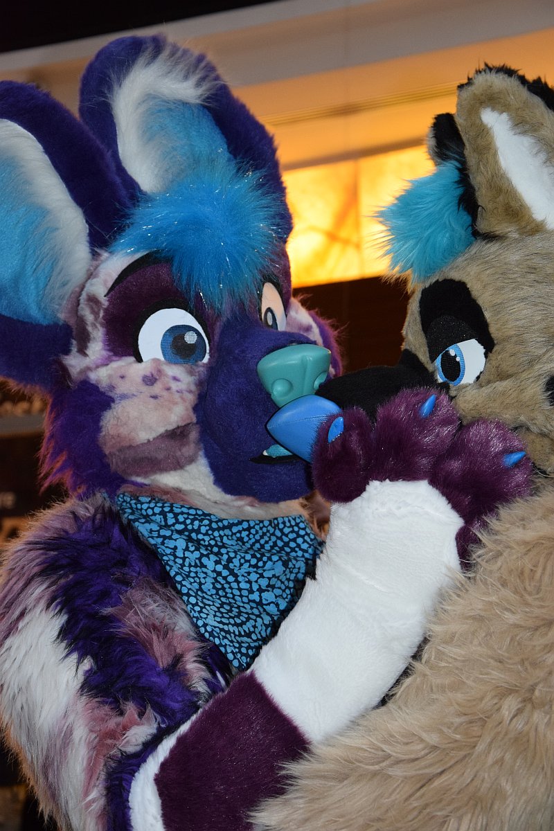 Nachtschatten tweet media