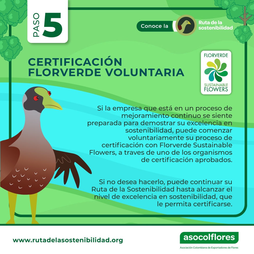 asocolflores's tweet photo. El #Covid19Colombia no nos detiene para compartir buenas noticias! Visiten la Ruta de la Sostenibilidad de Asocolflores y cultivemos juntos las Flores de Colombia! #paso5 #FloriculturaSostenible https://t.co/HXhuusYtb5