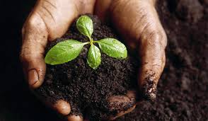 CIHEAMBari's tweet photo. #webinar #Interreg #GECO2
IL CARBONIO SOTTO I NOSTRI PIEDI. CONSERVARE E INCREMENTARE LA SOSTANZA ORGANICA NEI SUOLI AGRICOLI
5 MAGGIO⏰9.30-12.30
ORGANIZZATO da Arpae & @LegacoopRomagna
Per PARTECIPARE scrivere a: avolta@arpae.it e gvillani@arpae.it
👉 https://t.co/qKgvAYY4Em https://t.co/S80Zuh5an9