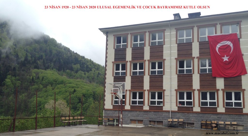 Macahel Arı Evi (@macahelarievi) on Twitter photo 