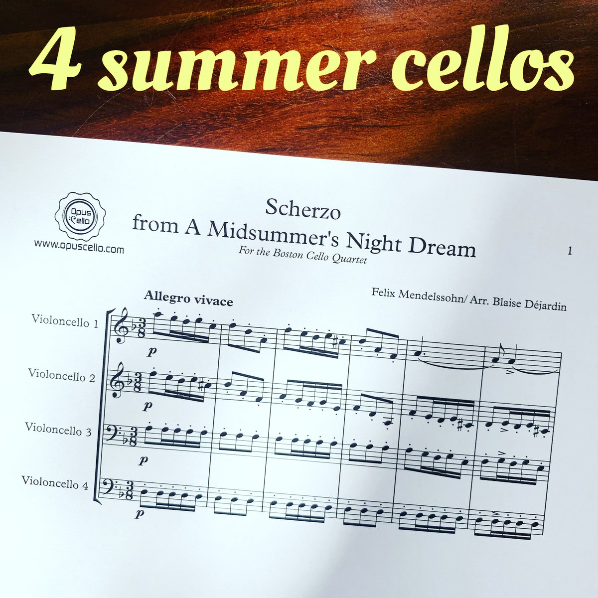 OpusCello's tweet image. NEW! opuscello.com/felix-mendelss… by @blaisedejardin for @BostonCello4tet