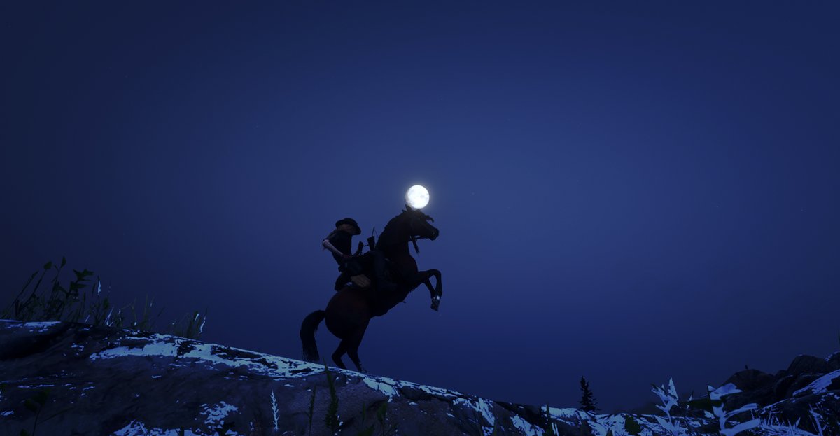 Jackie_Loot's tweet photo. #RDO #JackieLake #YeehawSweetheart

Lola "Luna" Lake 🐎🌙 https://t.co/qtrVvW07Lm