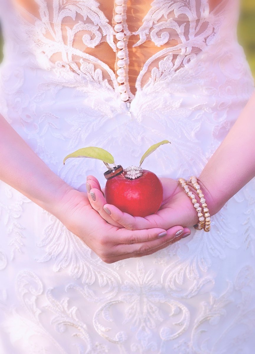 GoebbertsPatch's tweet photo. #ThrowbackThursday - We love the details of weddings at the farm! Fall is a beautiful time, but add in a wedding and it makes it extra special. https://t.co/9gcQIpEV7j