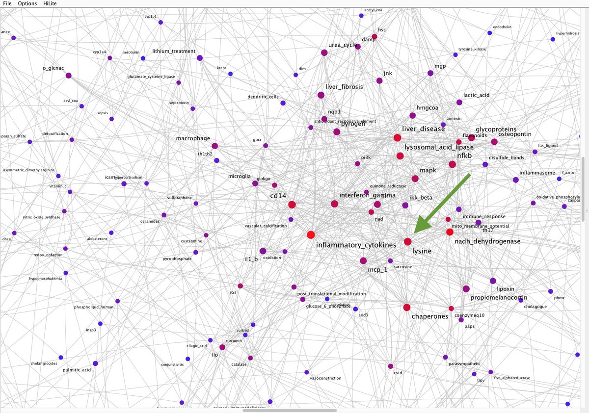 (1/4)  #MECFS is a multi-systemic disease where we are trying to put the pieces of a huge puzzle together. In the Network Analysis shown below Lysine plays a central role. Dr Ron Davis found high Lysine levels in  #PwME.