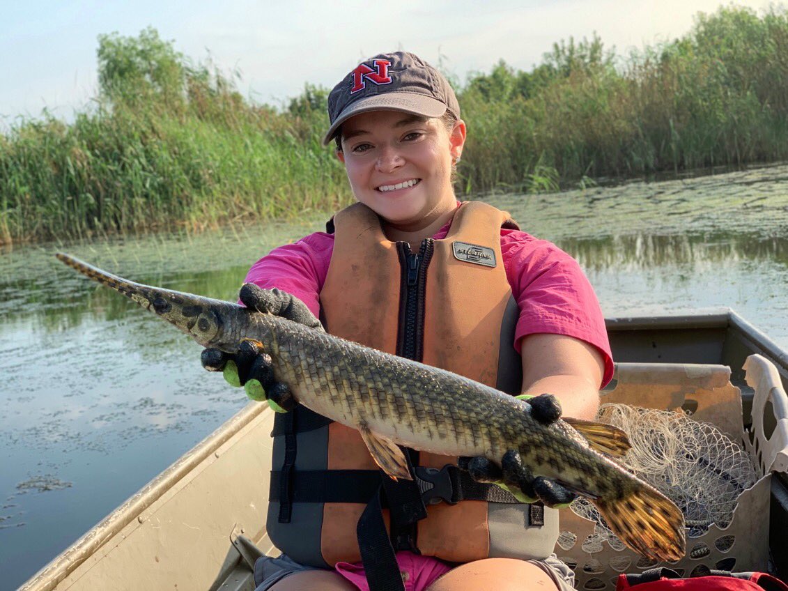 SarahFontana814's tweet image. My (virtual) thesis defense is tomorrow! A day I thought would never come! Of course I never expected it to be in front of a computer 🤷🏻‍♀️ #GarLab #SpottedGars #NichollsBiology