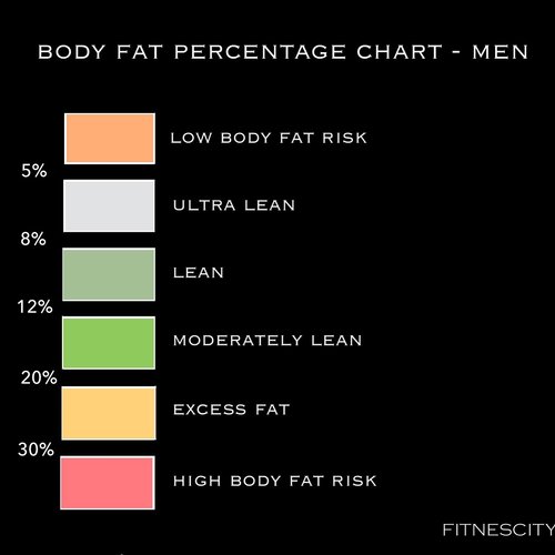 Fitnescity_HLTH's tweet photo. Can't get a test done in person? Stay on track with a few online tools. Here's the first one. Stay tuned for the rest!
https://t.co/AVXu2FYXSo
#DEXA #bodycomposition #bodyfat #bodyfatscan #Quarantine #fitnescity https://t.co/lSEodT4Itq