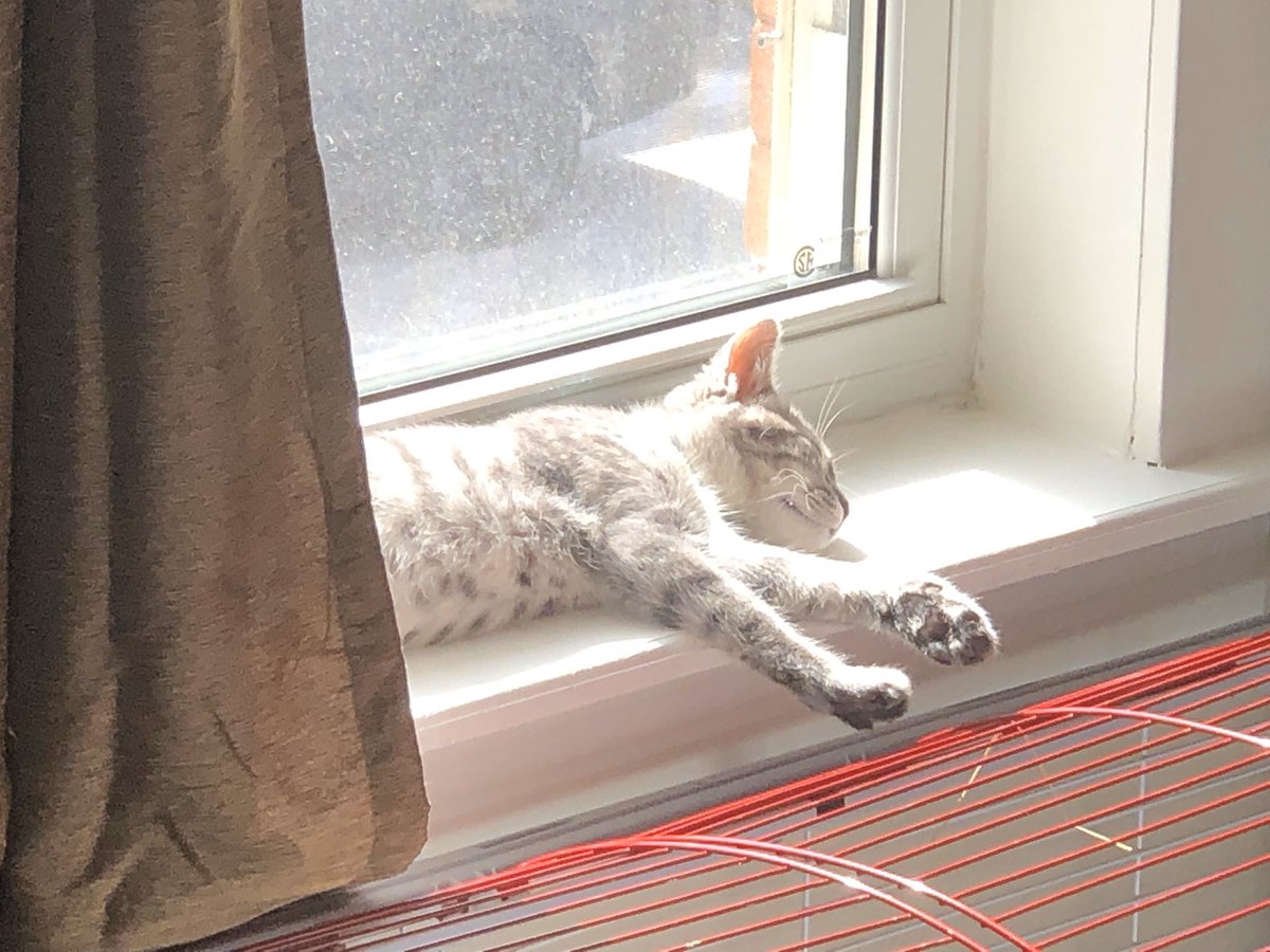 Day 2/7 of my life in pictures. No people, no description. As promised <a href="/KristinaCBaer/">Kristina Bär</a>!

I challenge <a href="/Karen_G_Everett/">Karen Everett</a> to share. 😘