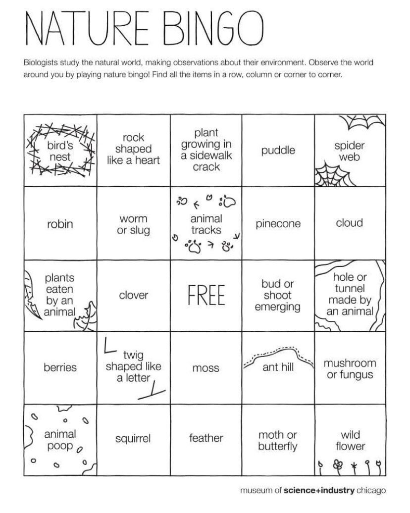 lzhsreactclub's tweet photo. Here’s some nature bingo to keep you busy! Tweet out your bingos! #lzhsreactclub #naturebingo #EarthWeek2020 https://t.co/MLHgowOLAd