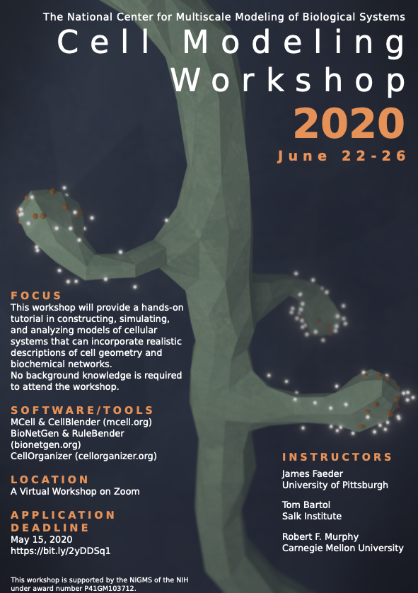 DoctorF's tweet photo. The 2002 Cell Modeling Virtual Workshop featuring #mcell @bionetgen @cellorganizer will take place June 22-26, 2020. Registration is available here: https://t.co/R3xTHTyisa. #cellbiology #modeling https://t.co/6jstwnHTCC