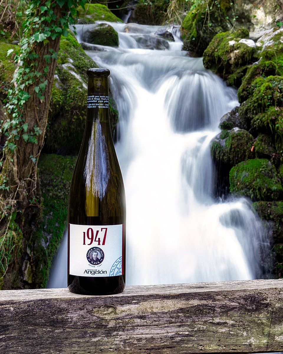 ¿Y si aprovechamos que estamos en casa para probar sidra Brut? ¿O de crianza de Nueva Expresión? ¿O con Limón? ¿O de Hielo? ¿O con Miel?

Todos estos productos y muchos más los tienes disponibles en nuestra tienda online.

Te los llevamos a casa en 24-48h

sidraviudaangelonpomar.es