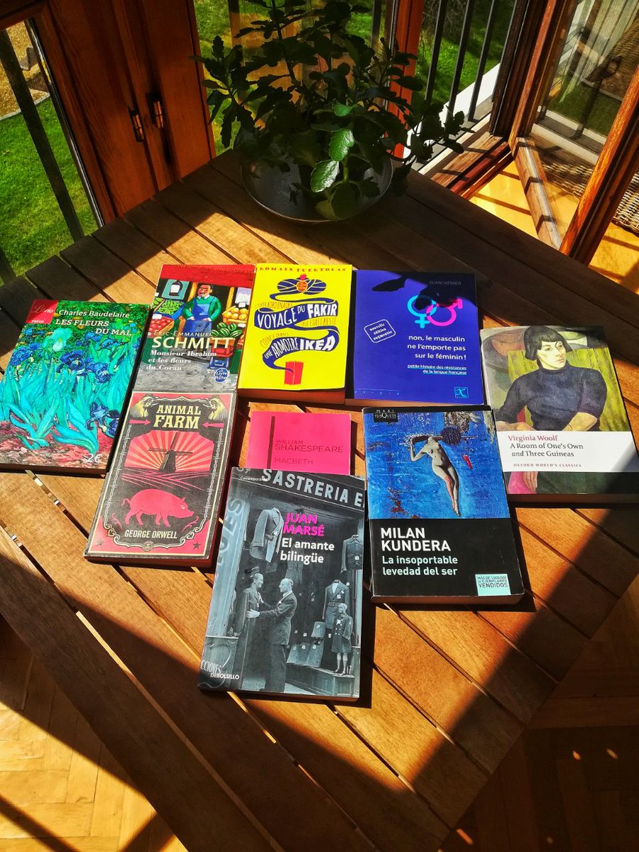 En la vorágine del día a día, un traductor puede desactualizarse y olvidar esos matices que marcarán la diferencia en nuestro trabajo. ¿Cuál es la mejor solución? Mantener una biblioteca de personalidad múltiple y nutrirnos de toda suerte de palabras. ¡Feliz Día del Libro!