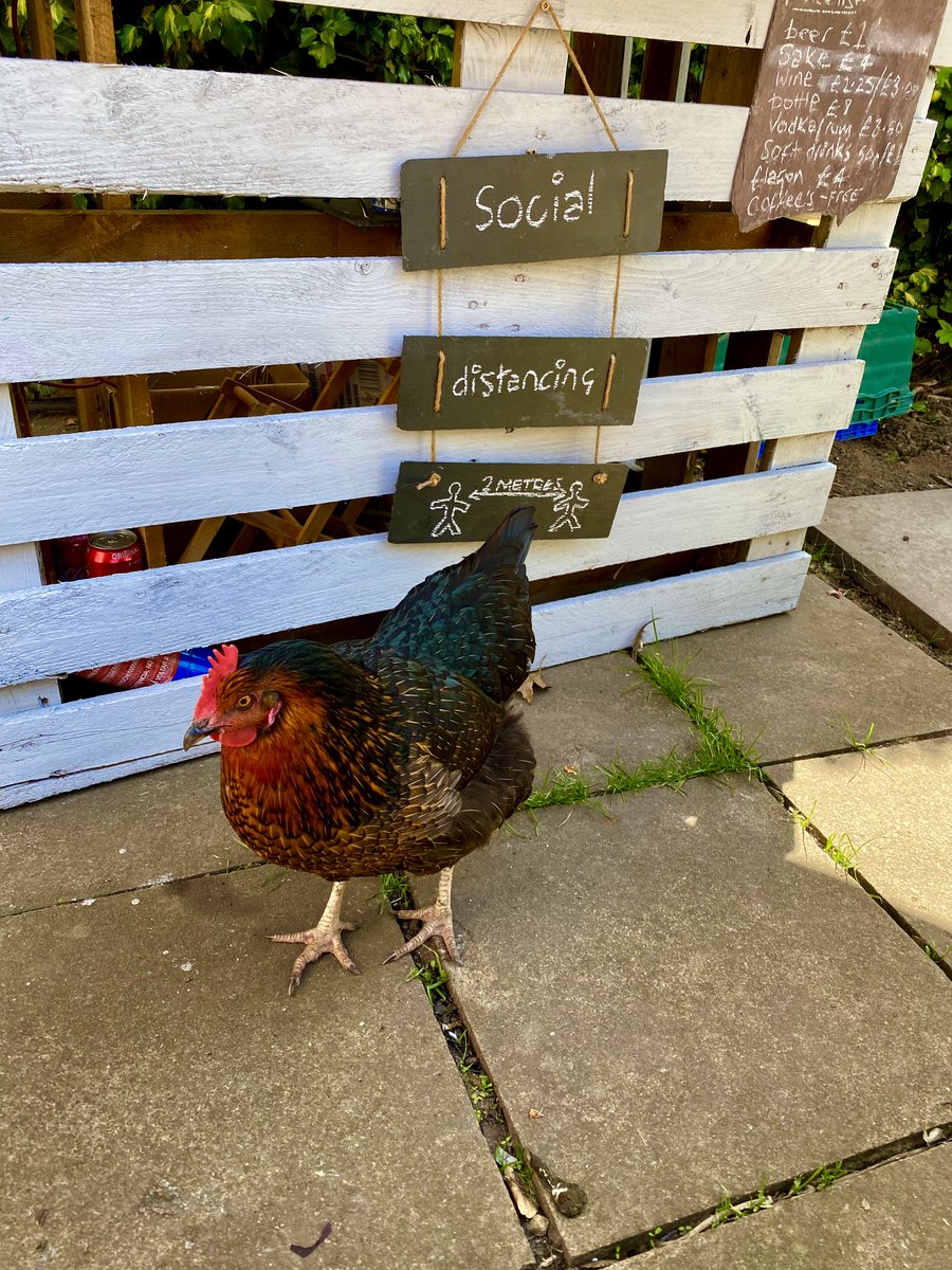 Christopher Burt tweet media