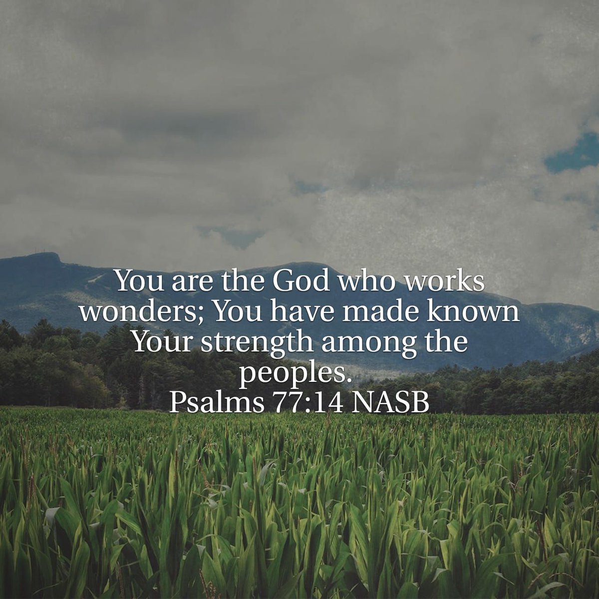 WordIntl's tweet image. (God works Wonders among us!)
You are the God who works wonders; You have made known Your strength among the peoples.
Psalms …
bible.com/bible/100/psa.…