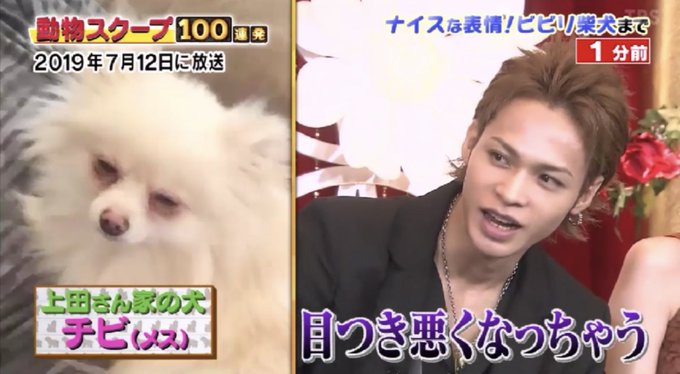 รายการทว 超クソ野郎雑兵key ให แท กแฮช 動物スクープ100連発 1 ว เคราะห ทว ตเตอร กราฟ ก Whotwi