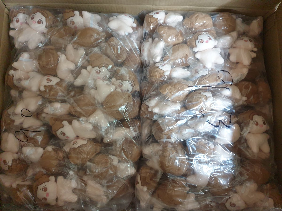 mangnyani's tweet photo. 핕망토냥이들 모두 무사히 한국 도착했습니다~🐾🐾 조금만 기다려주세요! https://t.co/kkj2gA83yB