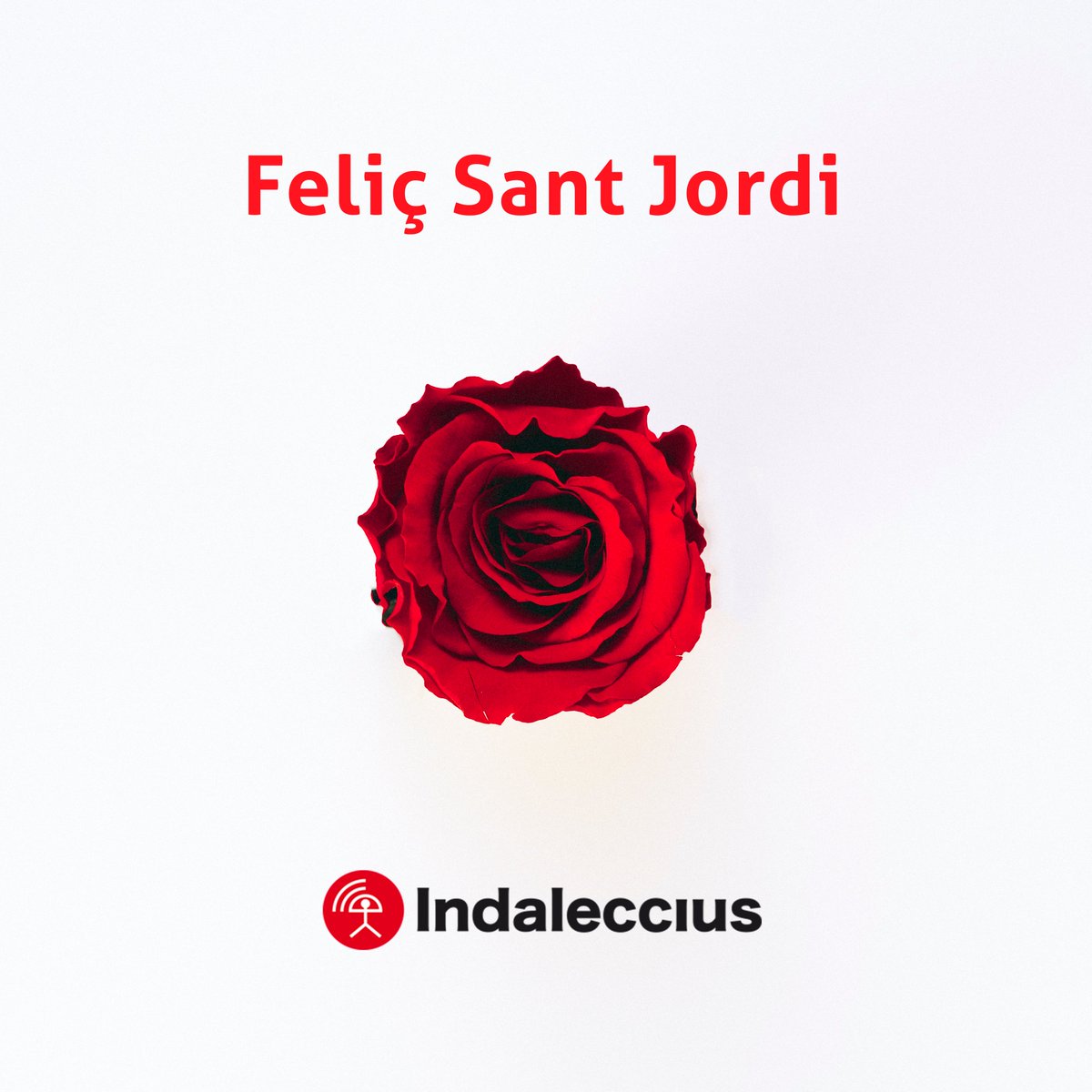 Indaleccius's tweet photo. Feliç diada de #SantJordi de part de tot l'equip d'@Indaleccius 🌹 https://t.co/VfkOnJoxfs