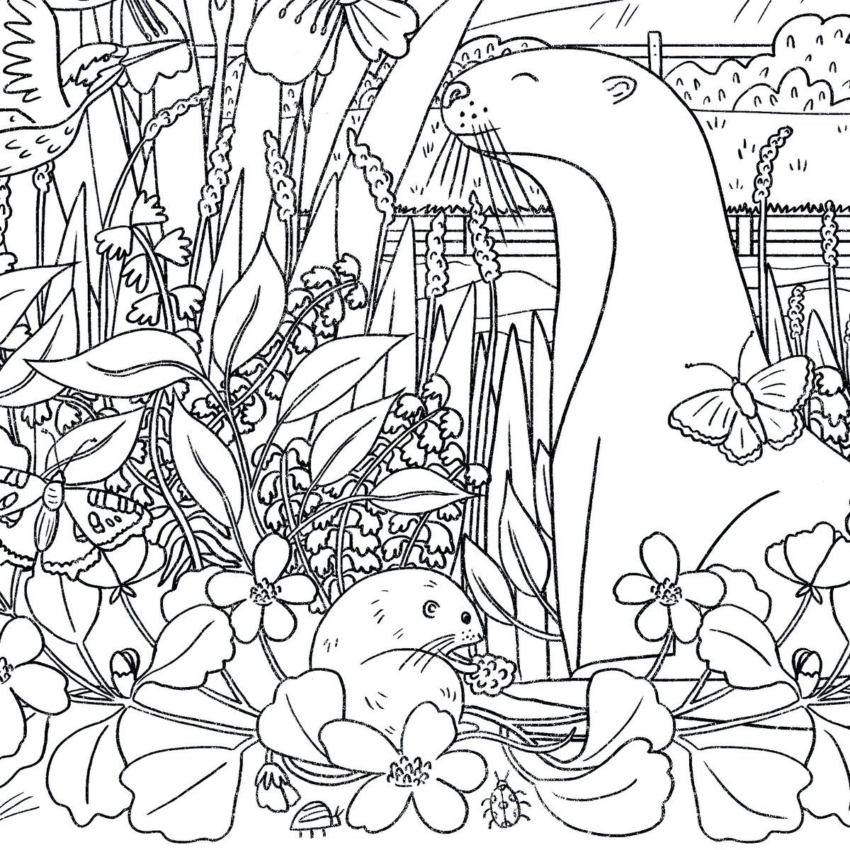 HiveShrewsbury's tweet photo. Another BEAUTIFUL colouring-in illustration that you can download for FREE. Inspired by nature and our Hidden Waterways project. 

https://t.co/mk1HRe8PEs https://t.co/BWKWwK3O5B