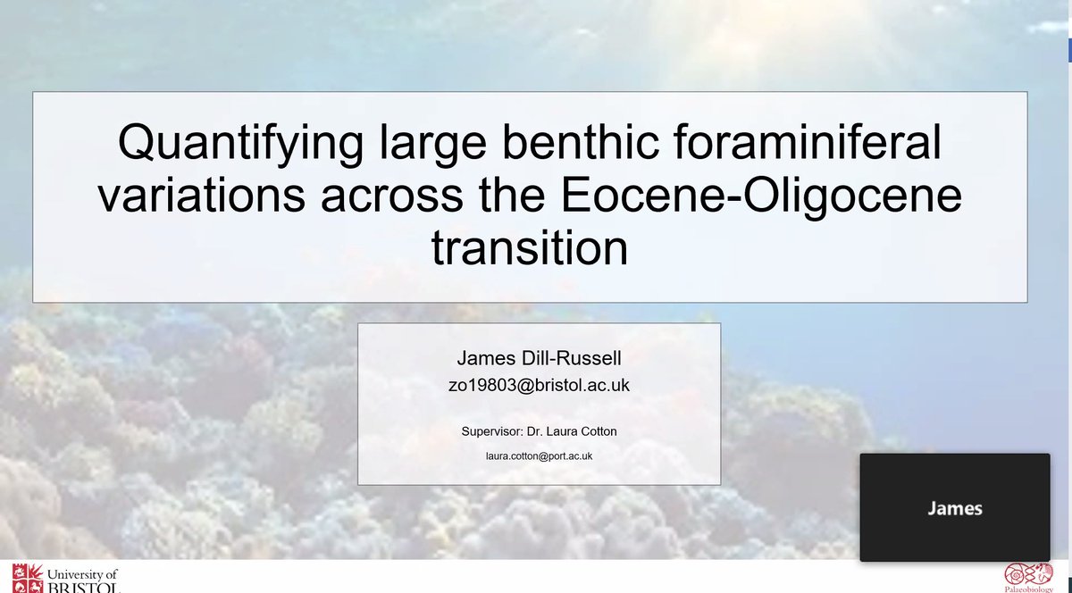 BristolPalaeo's tweet image. Today was the first batch of virtual MSc talks for this year's MSc students to talk about their projects. We've got a wide variety of projects this year, and here are just a few examples from this morning's talks.