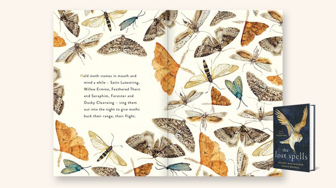 Book-ish 📚 tweet media