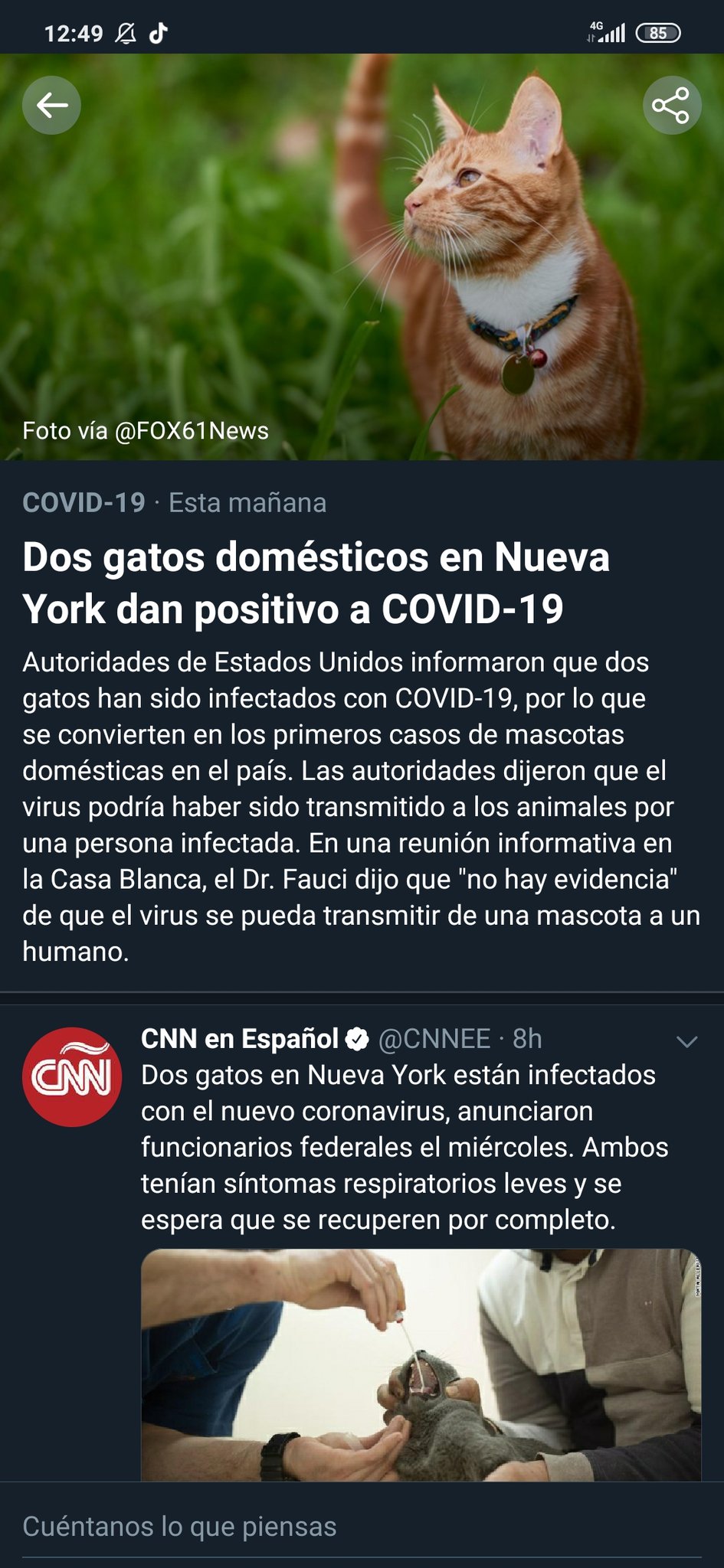 Andrés on Twitter: Andrés on Twitter: