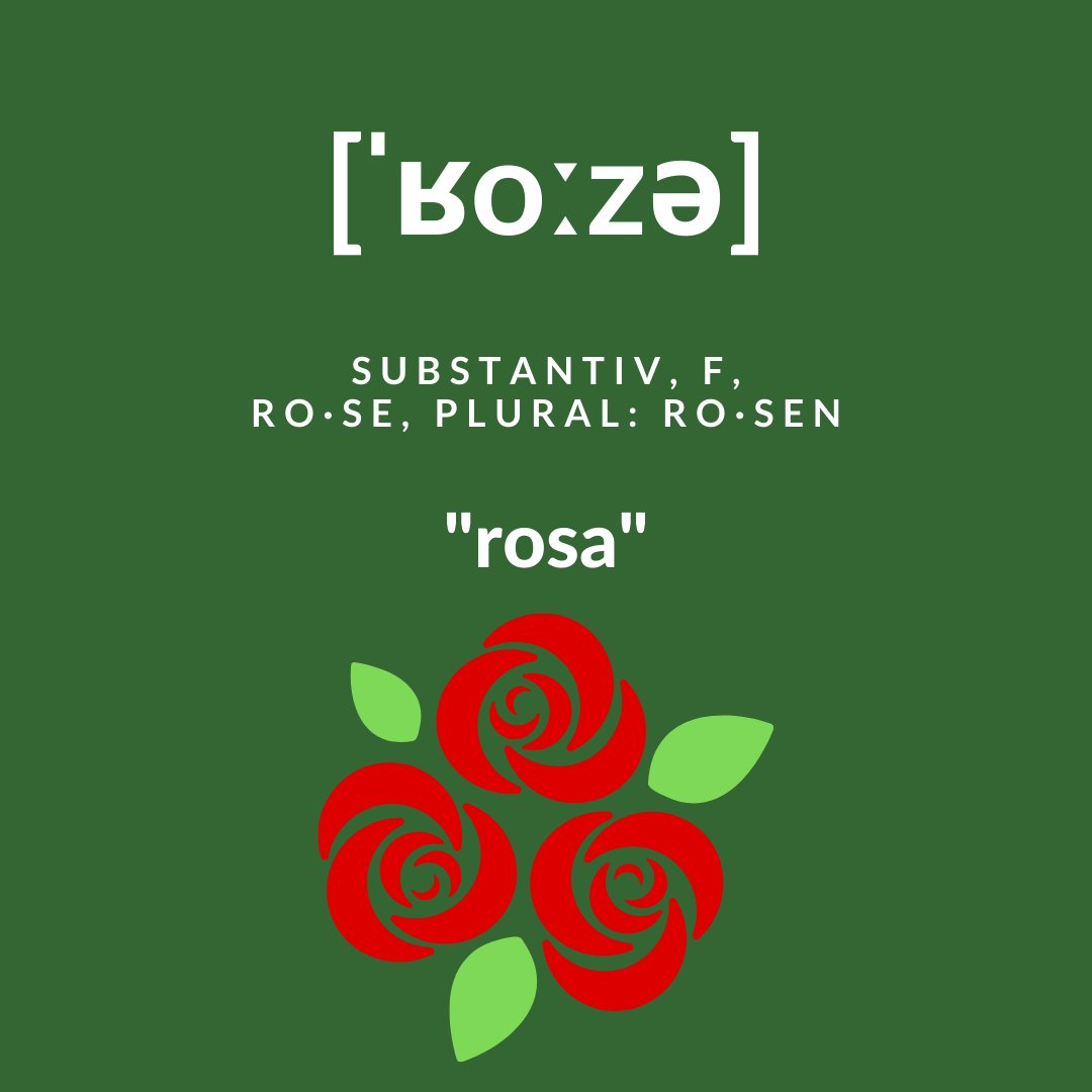 DieSchuleBcn's tweet photo. Heute ist "Sant Jordi" in Katalonien und der wird traditionell mit Büchern und Rosen gefeiert. Dieses Jahr fallen die offiziellen Feiern leider aus, aber vielleicht könnt ihr euch ja einfach etwas vorlesen, das geht auch mit 2m Abstand :-)#DieSchule #diloenalemán #Barcelona https://t.co/xSevy9WwG5