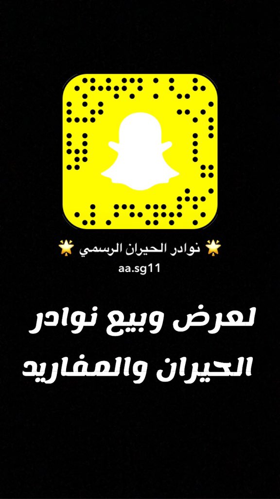 نوادر الحيران الرسمي tweet media