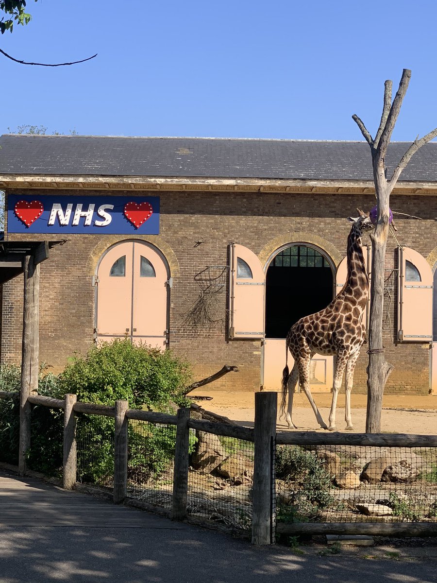 Nice long run in the sun this morning. Had to stop for a minute to appreciate this scene #nhs #london