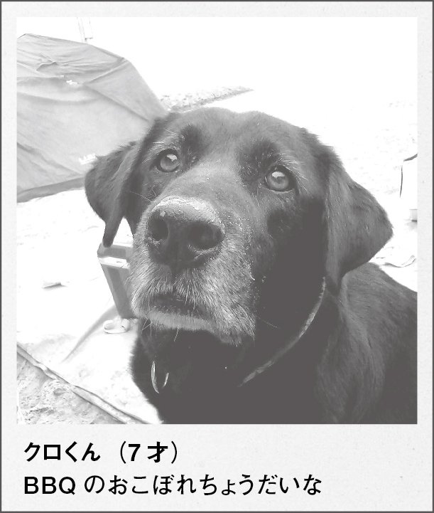 czcz_official's tweet photo. 【カコカジ】
2011年7月 「街の犬」
#カコカジ #おうち時間 https://t.co/clU9SAdK6F