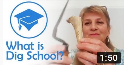 CarenzaLewis's tweet image. Starting on 24th April, #DigSchool offers pupils aged 10-15 the chance to develop new skills, knowledge and interests through a series of 20 cross-curricular online enquiries throughout the summer term. #archaeology #twitterhistorians #lockdown #onlinelearning